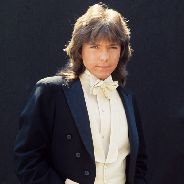 David Cassidy, Dead at 67: A Look Back on His Teen Idol Days