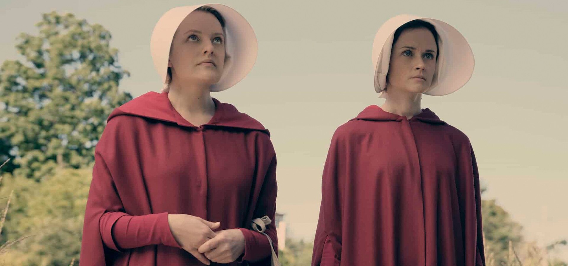 The Handmaid The Handmaid