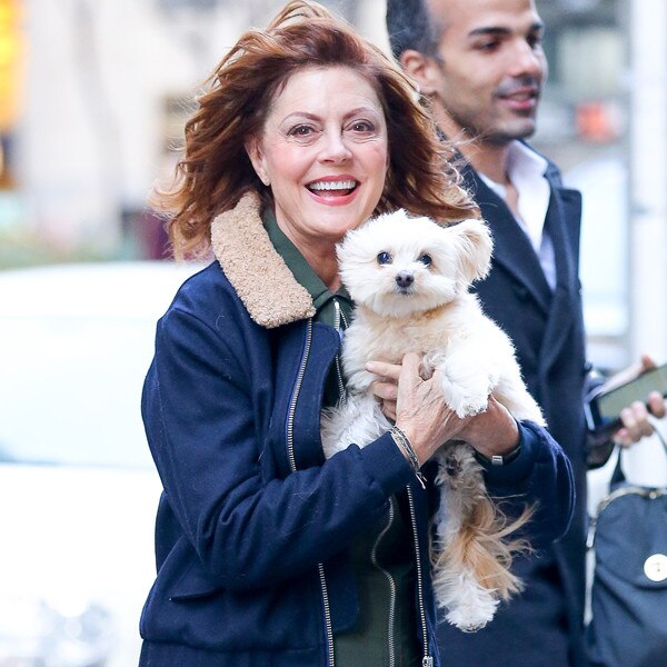 Susan Sarandon Susan Sarandon