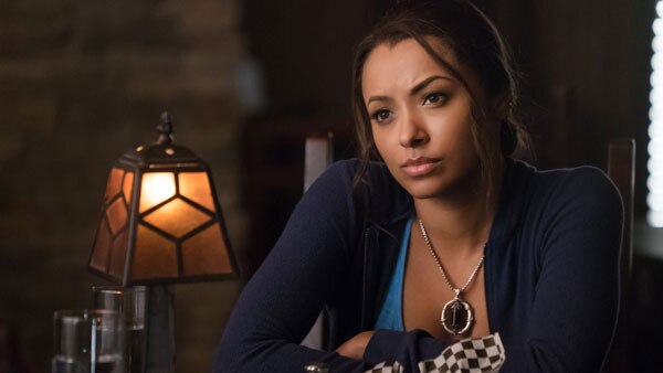 The Vampire Diaries The Vampire Diaries