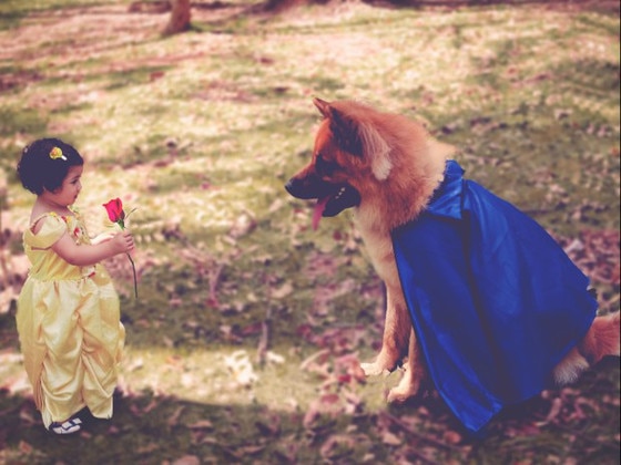 Menina e cachorro posam em ensaio fotográfico de A Bela e a Fera Menina e cachorro posam em ensaio fotográfico de A Bela e a Fera