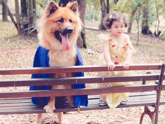 Menina e cachorro posam em ensaio fotográfico de A Bela e a Fera Menina e cachorro posam em ensaio fotográfico de A Bela e a Fera