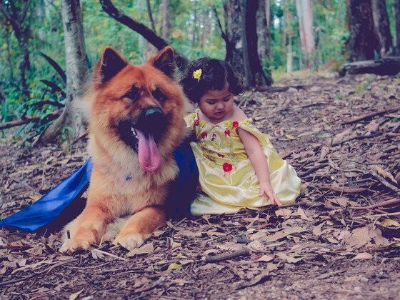 Menina e cachorro posam em ensaio fotográfico de A Bela e a Fera Menina e cachorro posam em ensaio fotográfico de A Bela e a Fera
