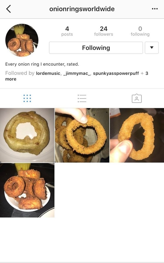 Lorde onion rings Lorde onion rings