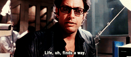 Jeff Goldblum, Jurassic Park, GIF Jeff Goldblum, Jurassic Park, GIF
