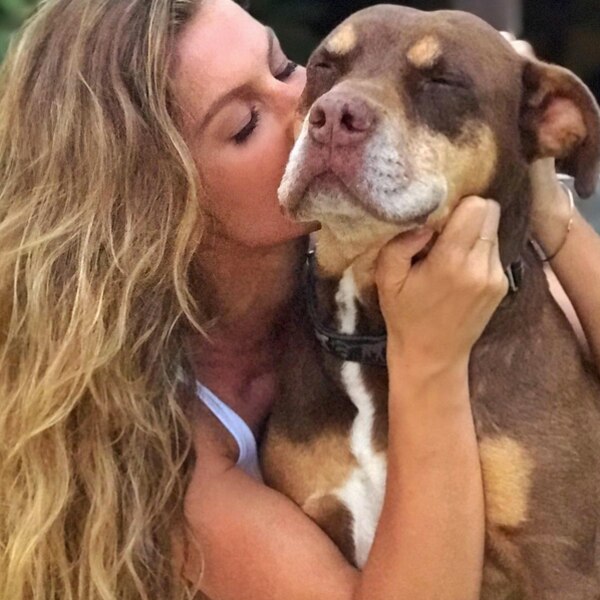 Gisele Bündchen, Instagram Gisele Bündchen, Instagram