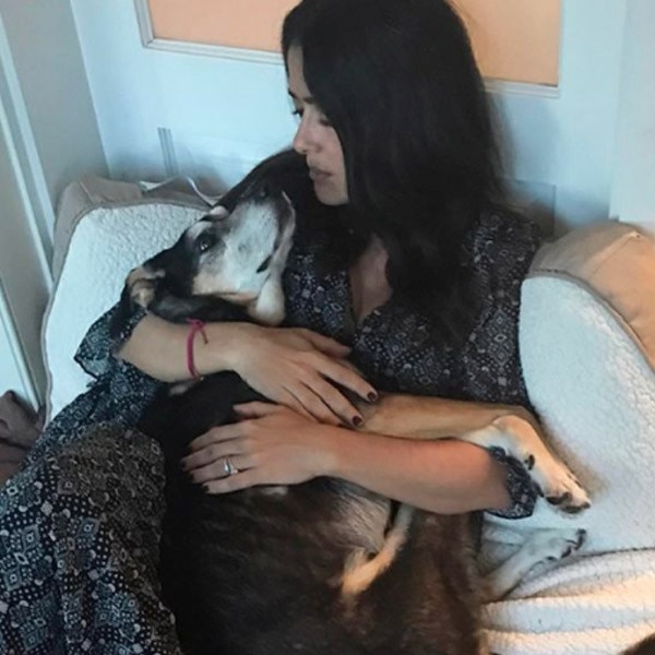 Salma Hayek Mourns the Death of Beloved Dog Lupe