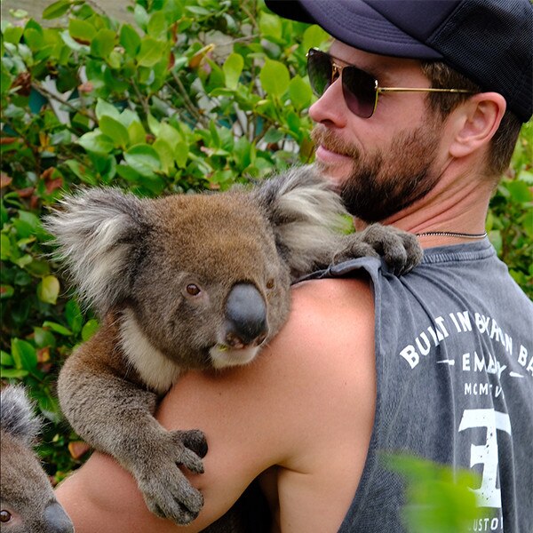 Chris Hemsworth Hugging a Koala Is All We Need on a Monday