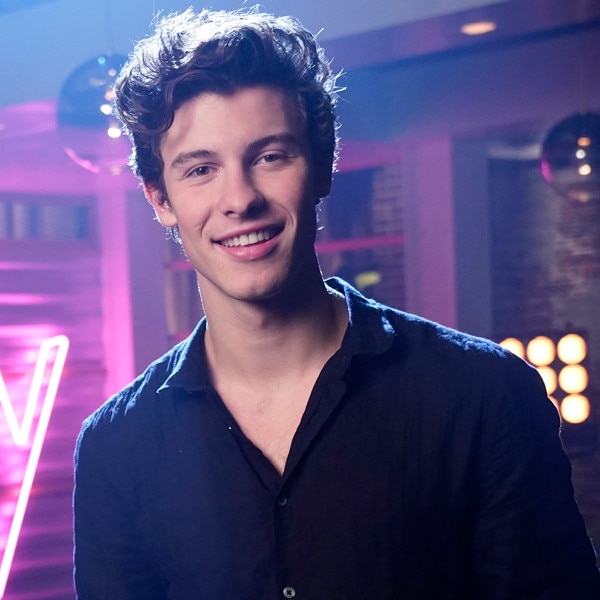 Shawn Mendes Admits He's Single as New Album Drops