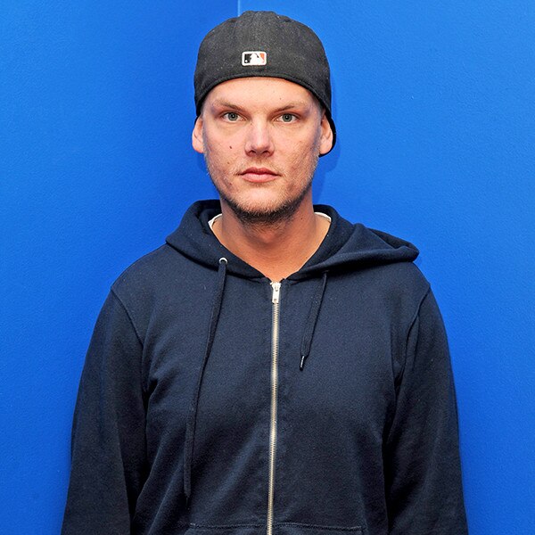 Avicii's Family Implies He Died From Apparent Suicide