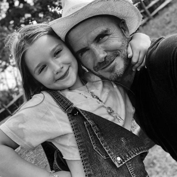 David and Victoria Beckham Celebrate Harper's Seventh Birthday