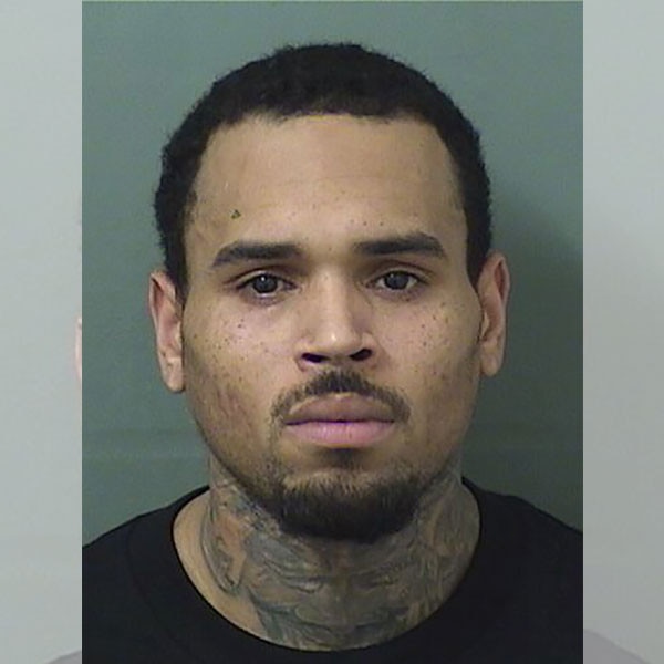 Chris Brown Arrested in Florida: See His Mug Shot