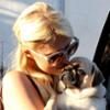 Paris Hilton