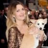 Drew Barrymore