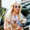 Paris Hilton