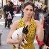 Ashley Greene