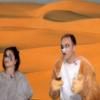 Meerkats