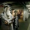 Michael Gambon, Daniel Radcliffe, Harry Potter and the Half-Blooded Prince