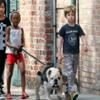 Zahara Jolie-Pitt, Maddox Jolie-Pitt, Shiloh Jolie-Pitt