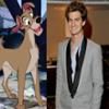 Lady and the Tramp, Tramp, Andrew Garfield