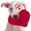Heart Toy