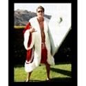 David Hasselhoff, HoffSpace, Poster