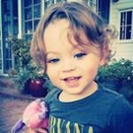Bodhi Ransom Green Bodhi Ransom Green