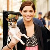 Ashley Greene