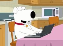 Brian, <i>Family Guy</i> Brian, <i>Family Guy</i>
