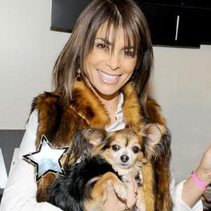 Paula Abdul