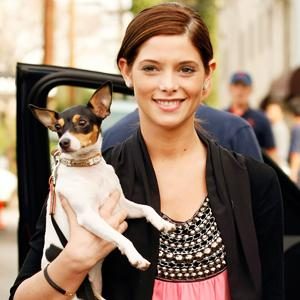 Ashley Greene