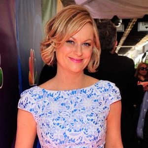 Amy Poehler, NBC Upfronts