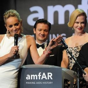 Sharon Stone, Jeremy Renner, Nicole Kidman, Harvey Weinstein, amfAR