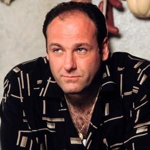 James Gandolfini, The Sopranos