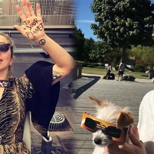 Celebrities React to the 2017 Solar Eclipse
