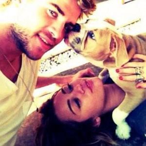 Miley Cyrus, Liam Hemsworth, Ziggy 