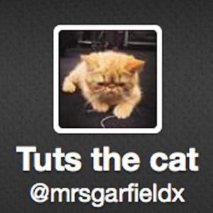 Justin Bieber, Tuts the Cat, Twitter