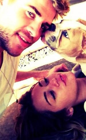 Miley Cyrus, Liam Hemsworth, Ziggy 