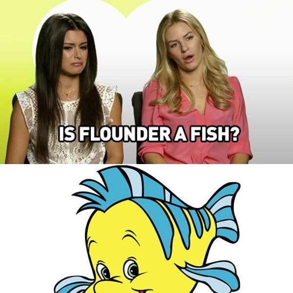 Flounder from Is Winnie the Pooh a Bear? And Other Important Questions!