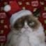 Grumpy Cat
