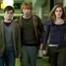 Harry Potter and the Deathly Hallows, Daniel Radcliffe, Emma Watson, Rupert Grint