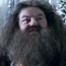 Robbie Coltrane, Hagrid