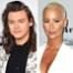 Harry Styles, Amber Rose