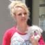 Britney Spears, Dog