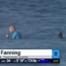 Mick Fanning Shark Attack