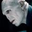 Harry Potter Fans, You've Been Saying 