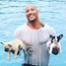 The Rock, Puppies, Dogs