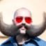 World Beard And Mustache Championships