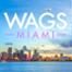 WAGS Miami - Show Package TEMP