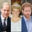  Prince William, Duke of Cambridge , Princess Diana , Prince Harry